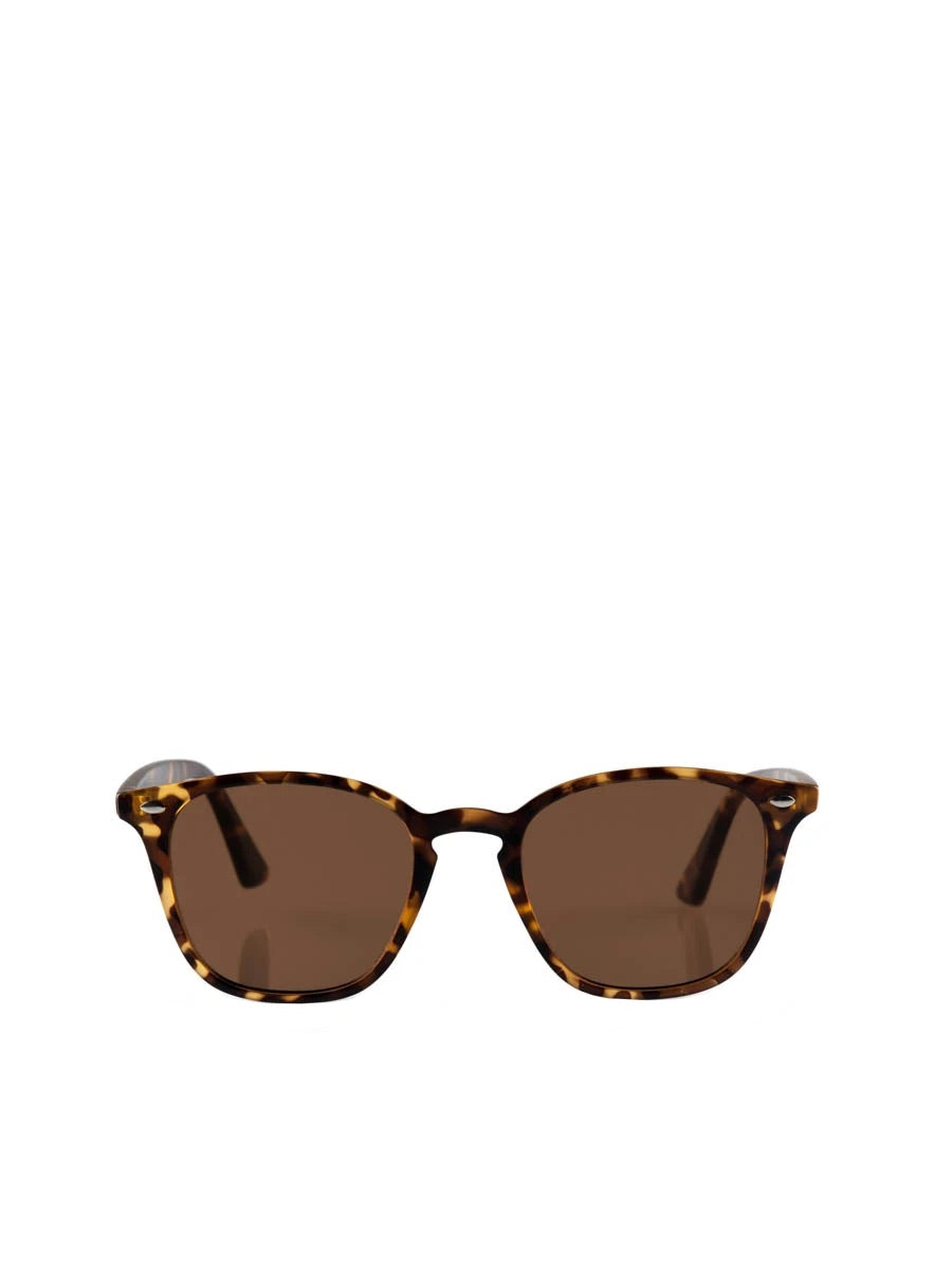 Reality Eyewear | The Chelsea | Matte Turtle
